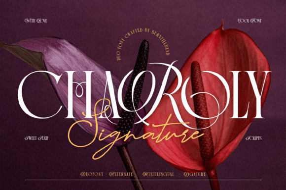 Charoly Signature: A Designer's Guide to This Elegant Duo Font